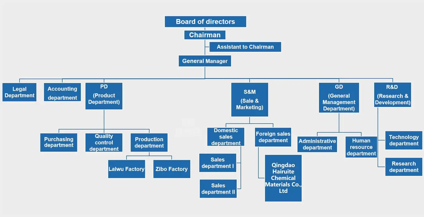 Company Structure